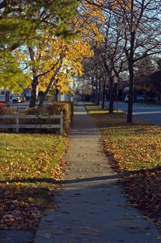 City landscape in sunrise light