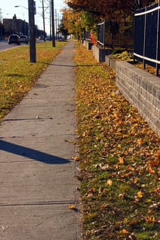 Sunrise on the street of Toronto