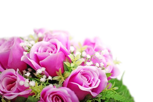 Purple roses bouquet isolated on white background.