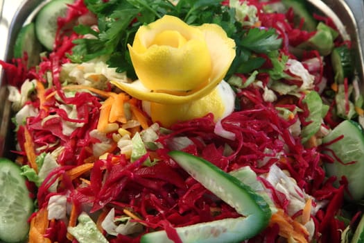 Mixed fresh salad with cucumber and carrots