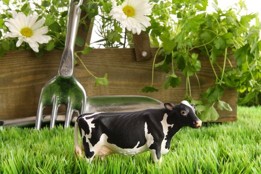 Fresh spring herbs and flowers in the grass with toy cow