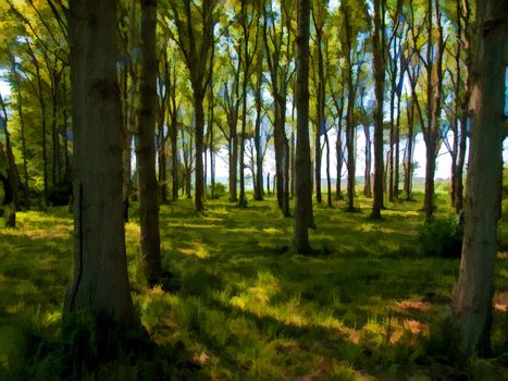 Beautiful Fairy Tales Forest with lush green and sunlight digital art manipulation