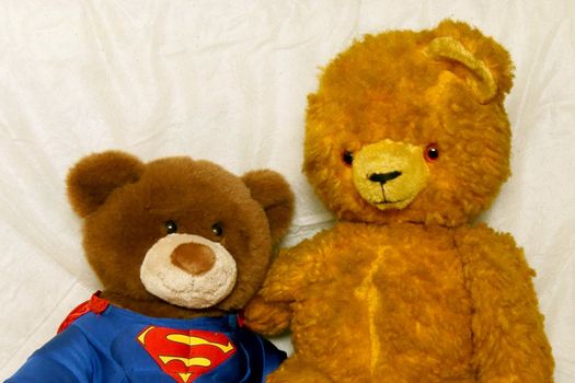 My old teddy-bear and new superteddy
