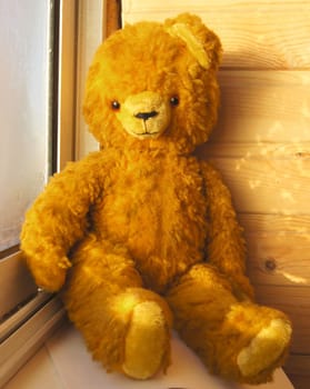 My old teddy-bear, lovest toy in cildhood