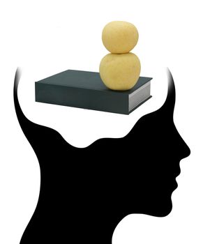 Book in Human Head