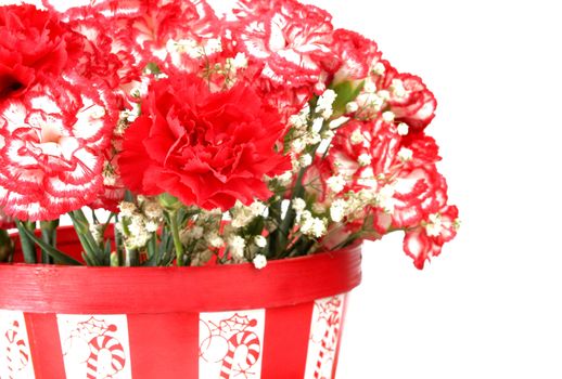 Basket of carnations with a Christmas theme.