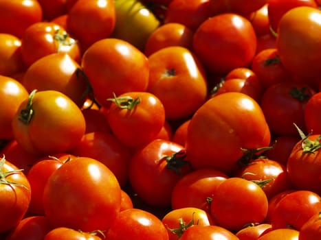 fresh tomatoes on greengrocers display