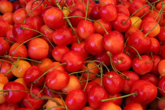Red Cherries