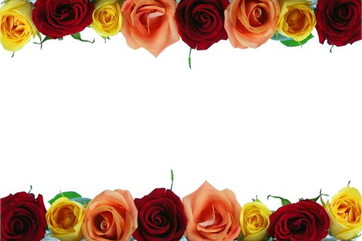 Floral border composed of red, yellow and peach colored roses,