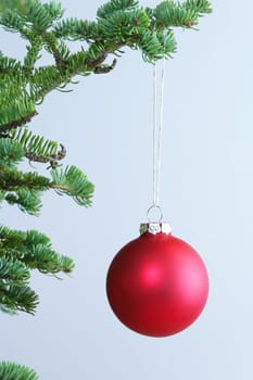 Red ornament hanging on Christmas tree.