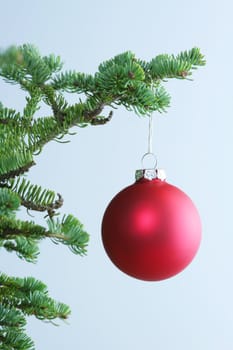 Red ornament hanging on Christmas tree.