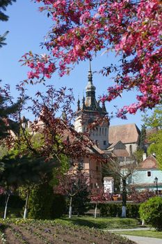 Castle Ball Tower from Sighisoara, Romania