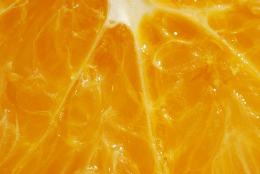 Close-up surface of orange fruit macro shots