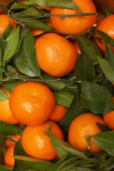 a bunch of orange fruits with green leaves