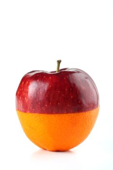 apple and orange cut in half and fit together on white