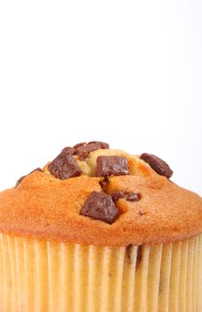 cupcake isolated on white shot in studio, copy space, cropped shot