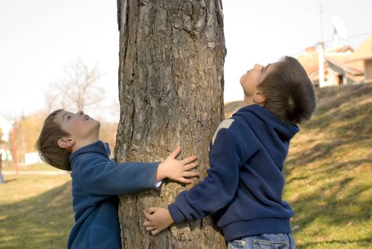 two boys hugging a tree and protecting it