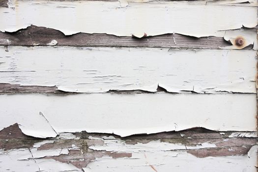 Old white paint peeling of wood, perfect for designs or backgrounds