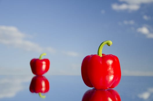 Paprika standing on mirrow in a background of blue cloudy sky. Other paprika out of focus.