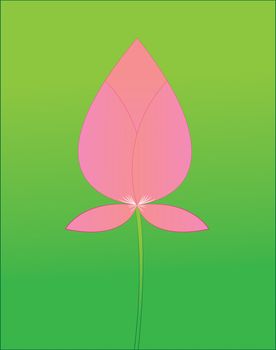 Pink lotus boom on a green background.