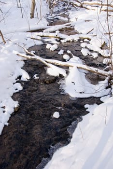 winter little and beautiful river in the forest