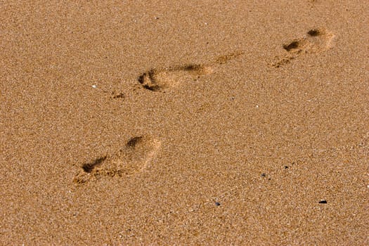 leisure series: foot step on the beach sand