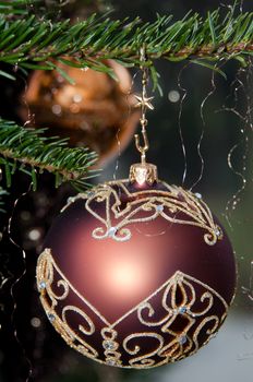 Decorative Christmas balls hanging on pine - tree branch