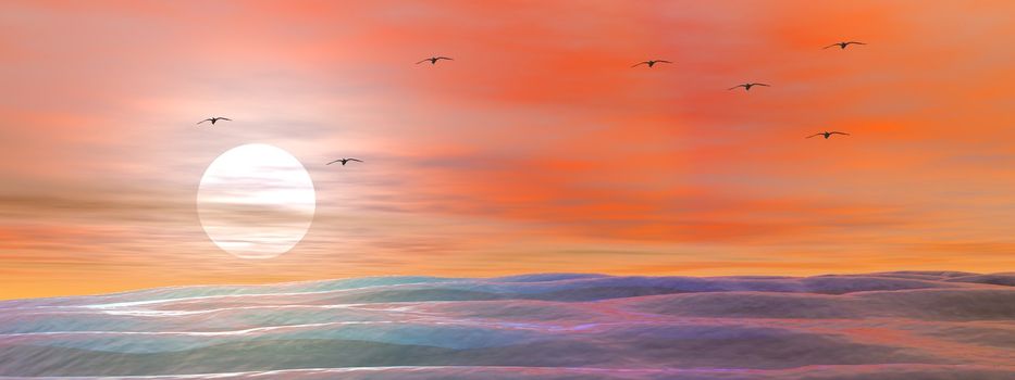 landscape and birds