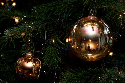 Decorative Christmas balls hanging on pine - tree branch