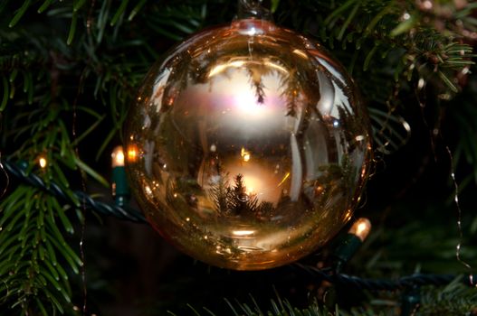 Decorative christmas ball hanging on pine - tree branch