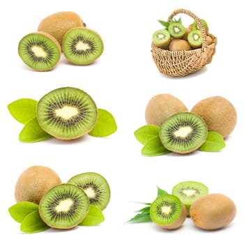 kiwi fruits collection