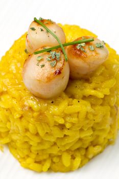 saffron risotto with grilled scallops