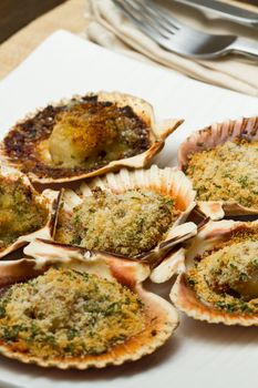 fresh scallops au gratin in the oven