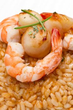 risotto with seafood sauce with scallops and prawns