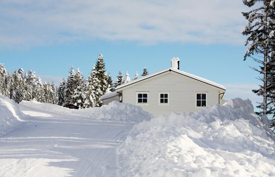 Snowy road leading to a white house in the forest