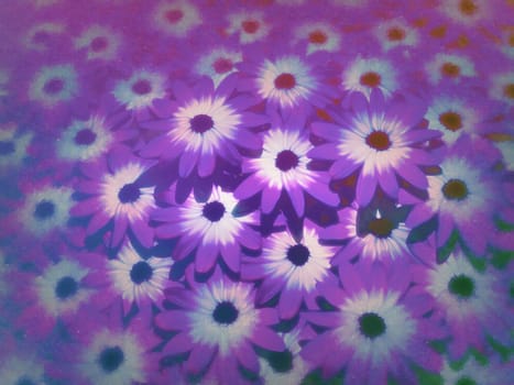 Illustrated background made of lots of purple flowers