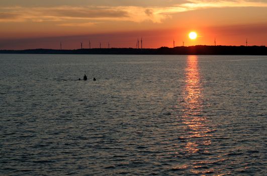 Three people swimming at dusk, with the setting sun and wind turbines in the background.