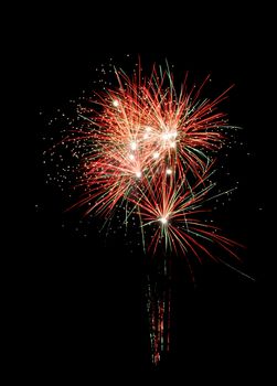 Firework flower against a black sky