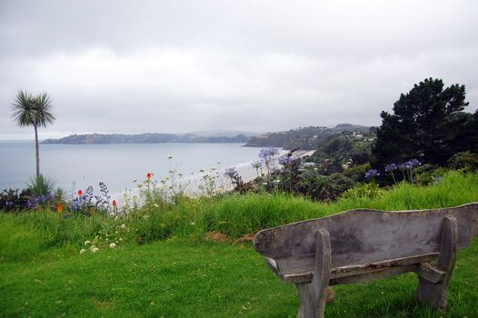 Timber bench sea bay view palm, Waiheke Island, New Zealand