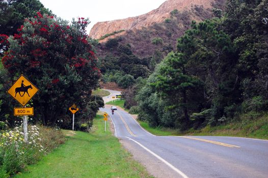 Yellow road sign in hilly road, New Zealand