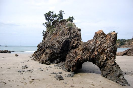 Rock on sandy coast, Waiheke Island, New Zealand