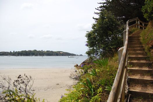 Timber steps uphill from beach, Waiheke Island, New Zealand