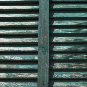 Green window shutters