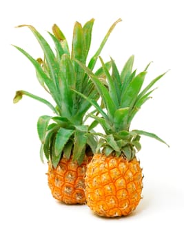 Ripe Pineapple Fruit,  isolated on white background