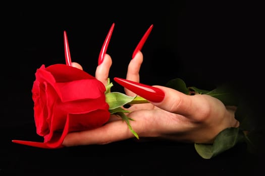 Human fingers with long fingernail and beautiful manicure isolated on black