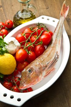 Redfish with tomatoes, parsley, garlic and olve oil