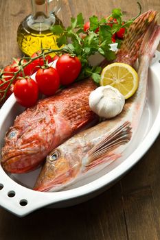 Redfish with tomatoes, parsley, garlic and olve oil