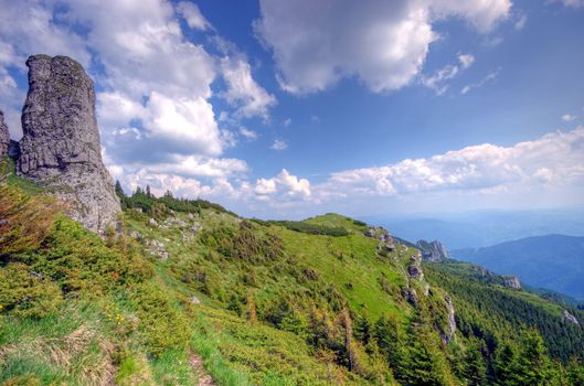 Summer landscape view in the mountains