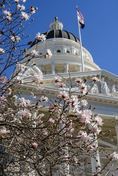 Spring Flowers at the California State Capitol in Sacramento