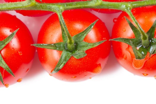 Some fresh ripe cherry tomatoes on a branch over white background